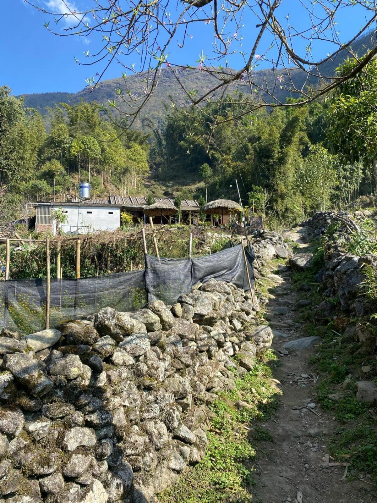 Sue Pa Family Trekking Homestay Шапа Экстерьер фото