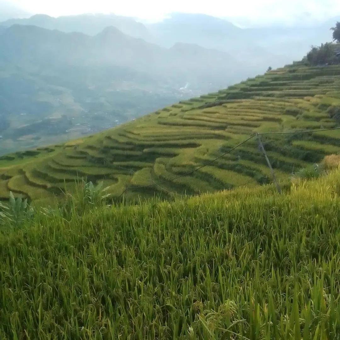 Sue Pa Family Trekking Homestay Шапа Экстерьер фото