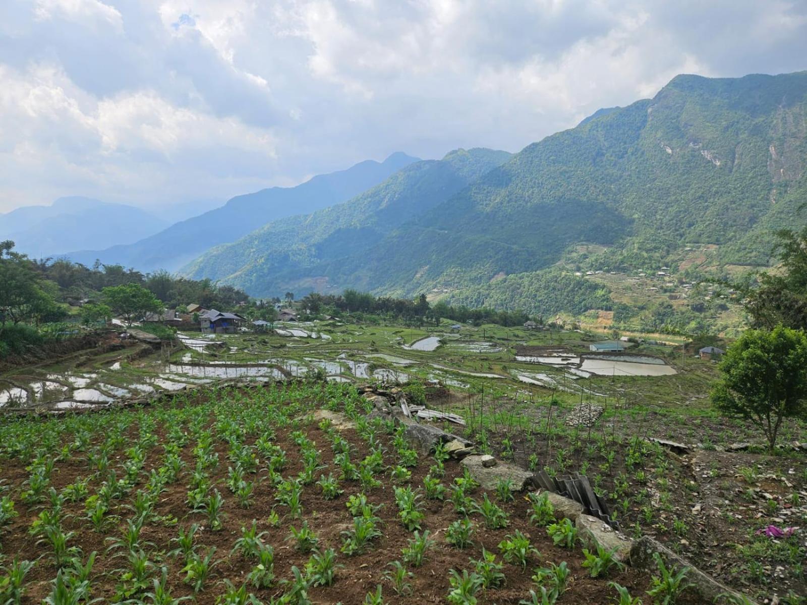 Sue Pa Family Trekking Homestay Шапа Экстерьер фото